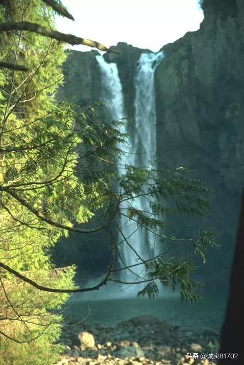虫虫助手下载